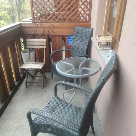 Apartament Miedzy Strumykami カルパッチ エクステリア 写真
